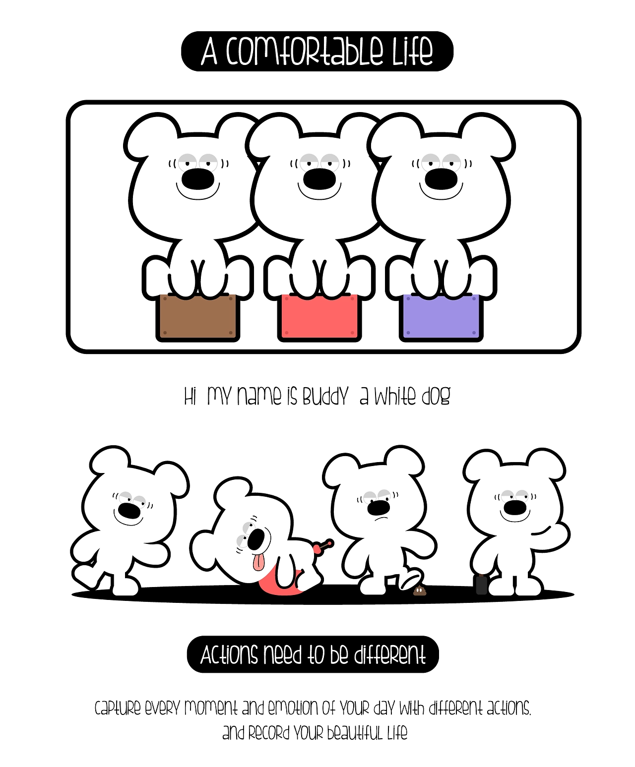 嗨，我叫巴迪，一只普通的白色狗狗-4.jpg