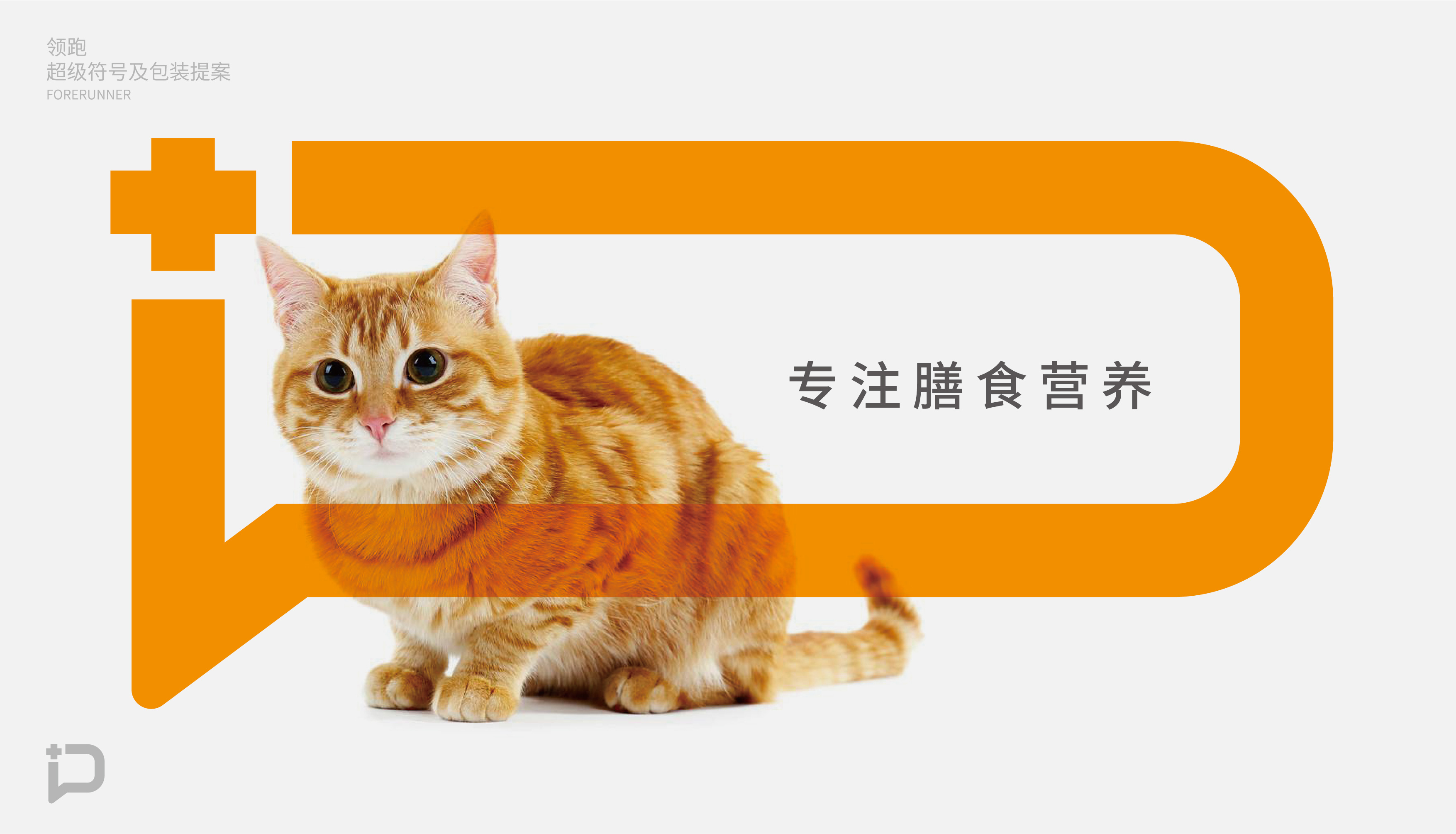 猫粮提案-18.jpg
