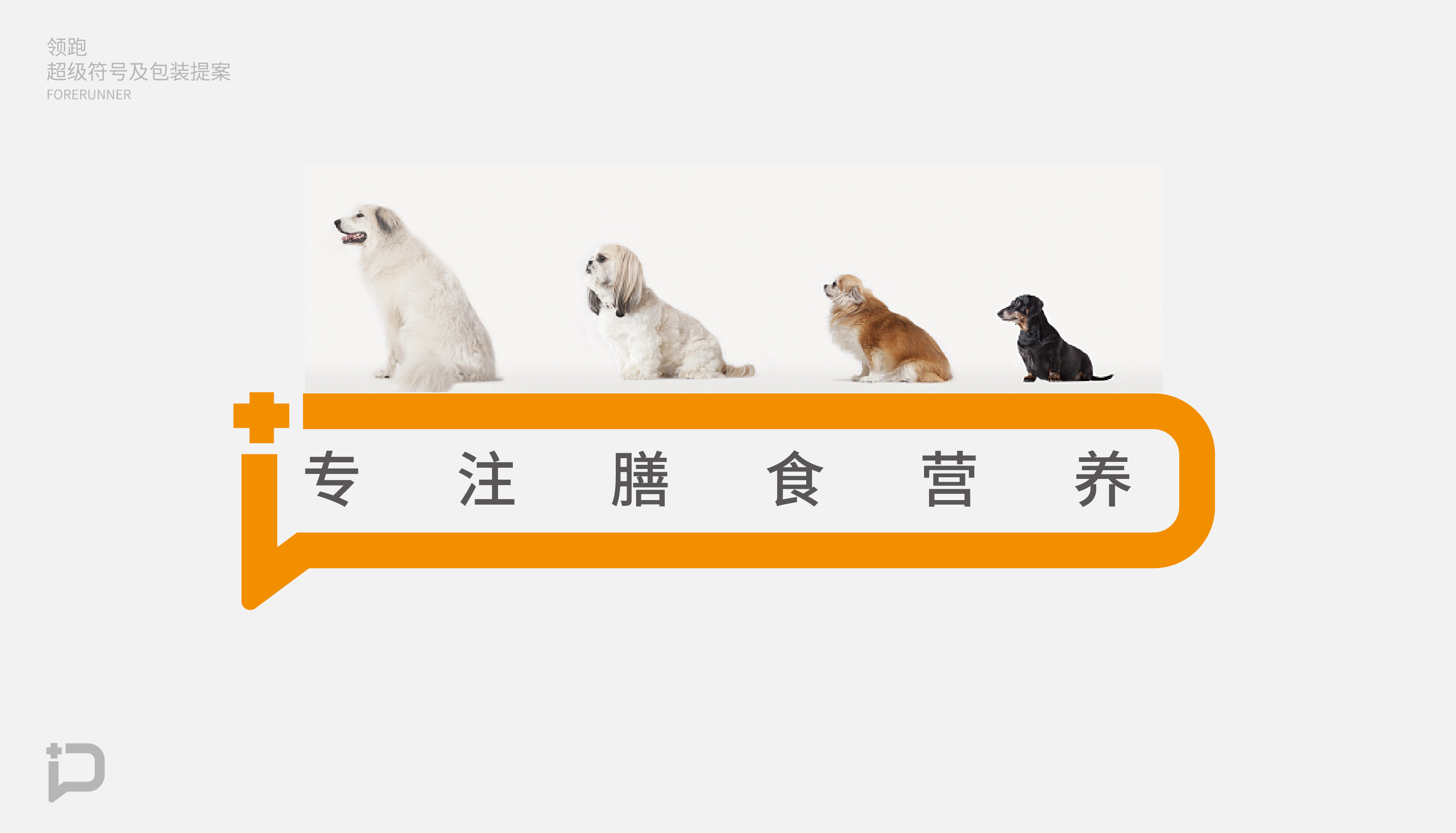 猫粮提案-20.jpg