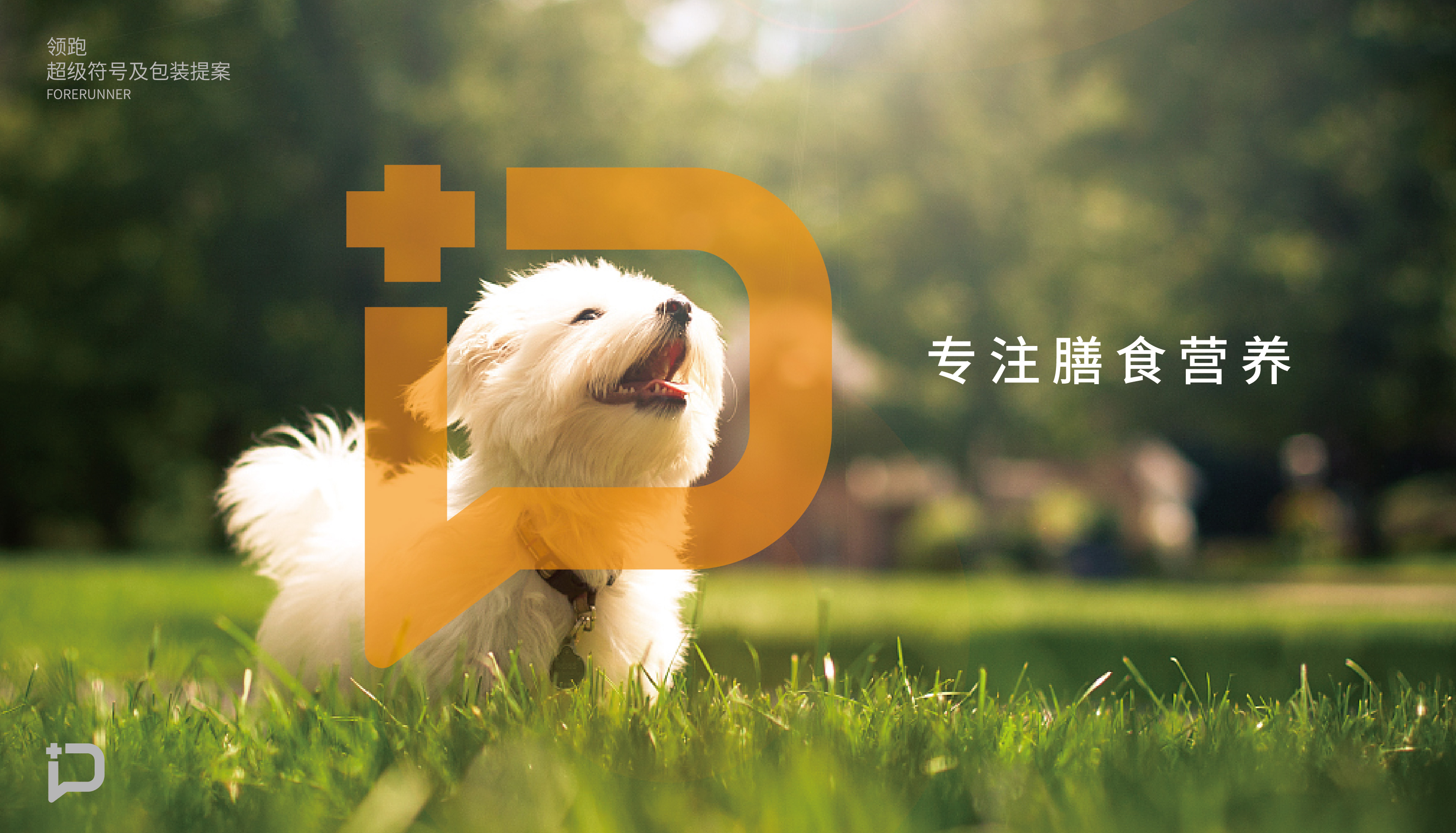 猫粮提案-22.jpg