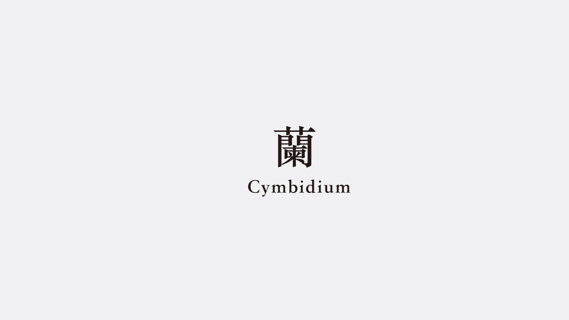 logo_02.16-02.jpg