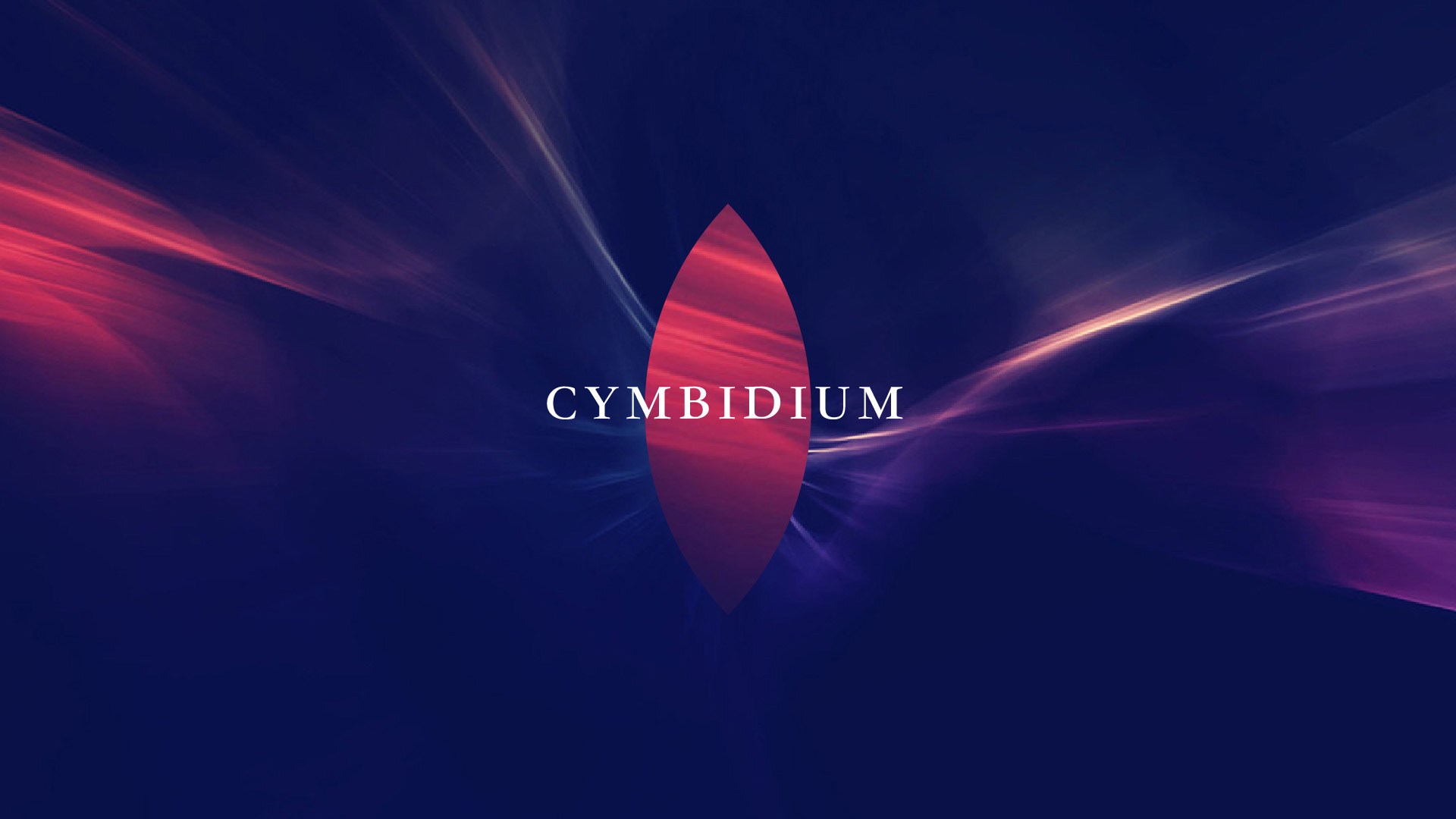 logo_02.16-18.jpg