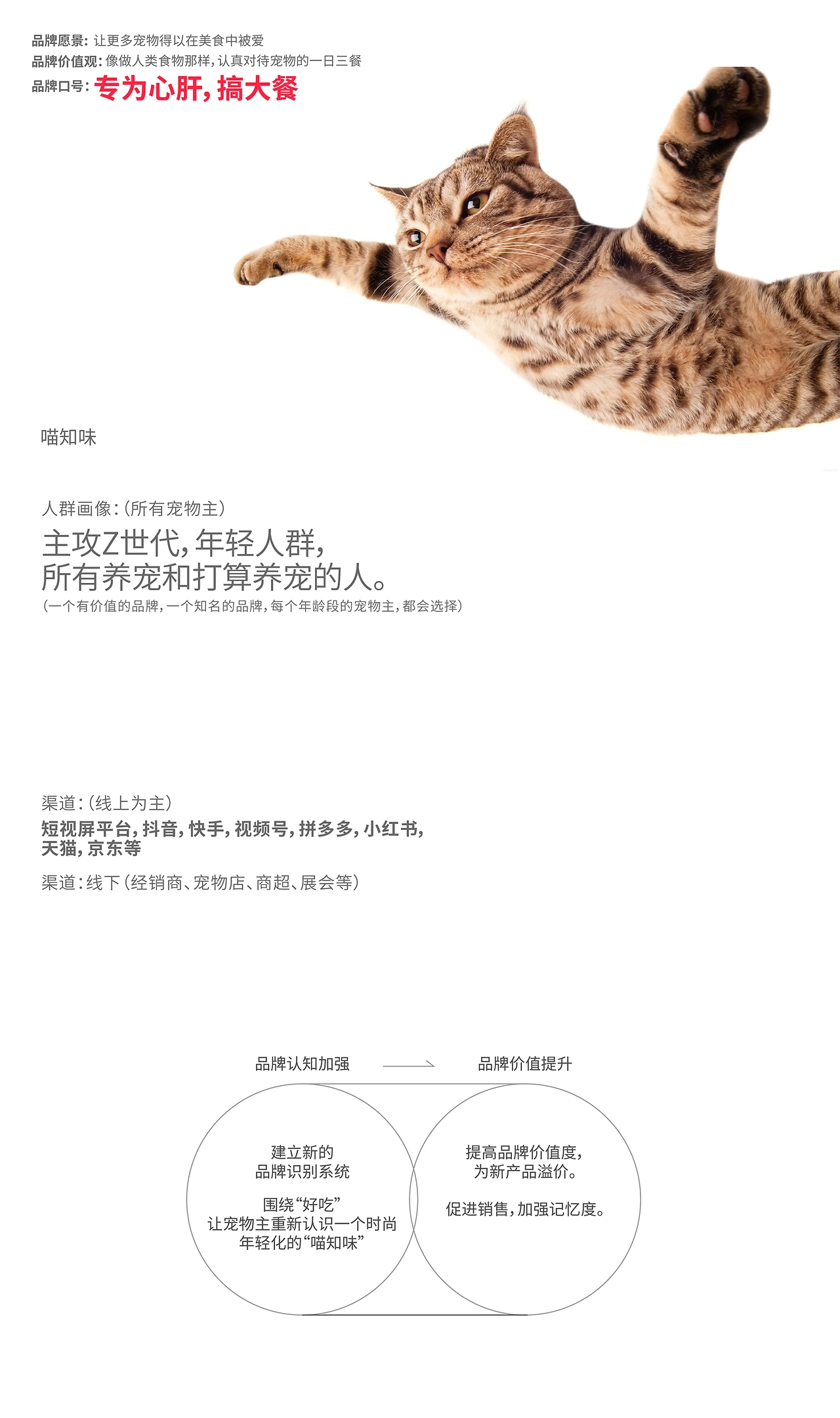 宠物品牌设计 LOGO vi 包装设计 宠物包装 宠物vi设计-02.jpg