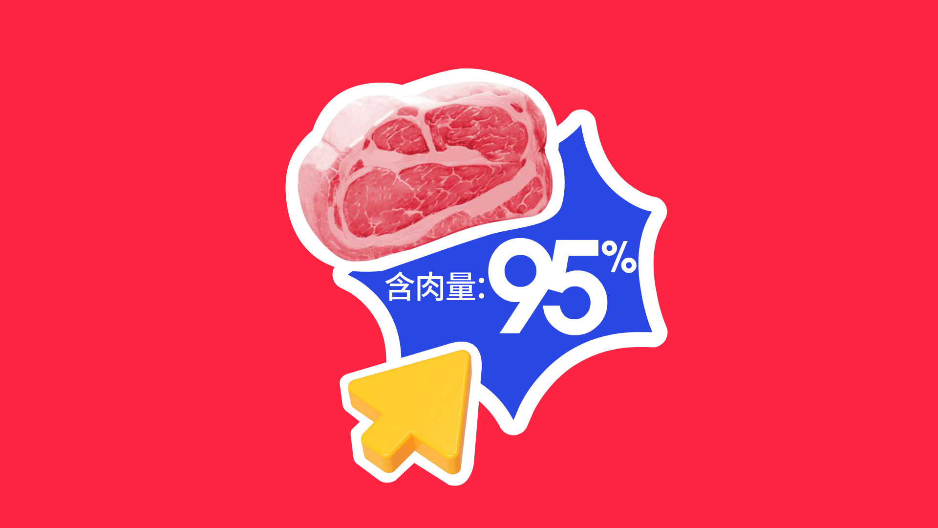 宠物品牌设计 LOGO vi 包装设计 宠物包装 宠物vi设计-4.gif