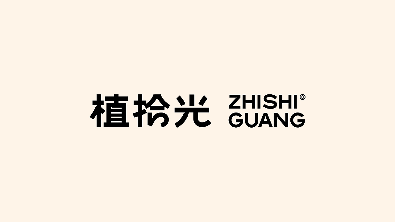 品牌 I 植拾光植物品牌设计-04.jpg