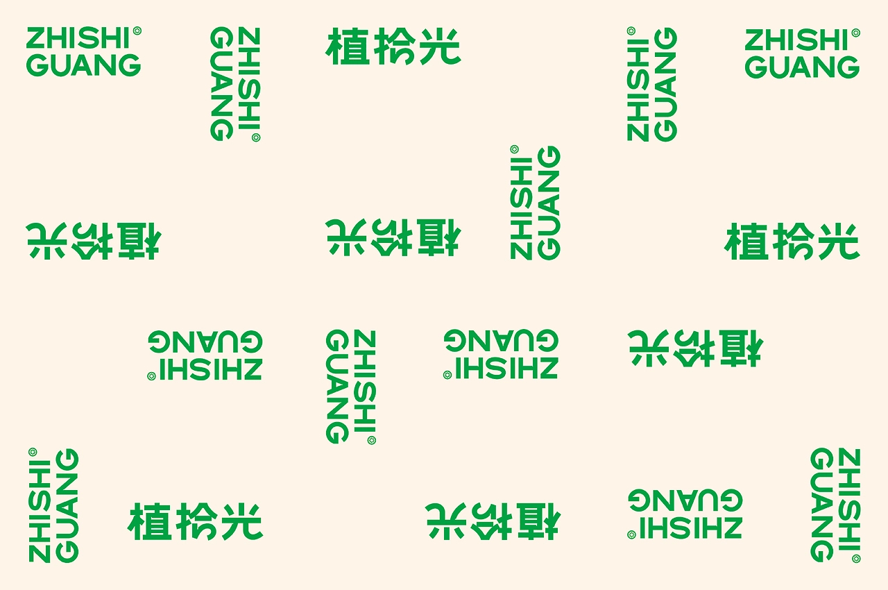 品牌 I 植拾光植物品牌设计-10.jpg
