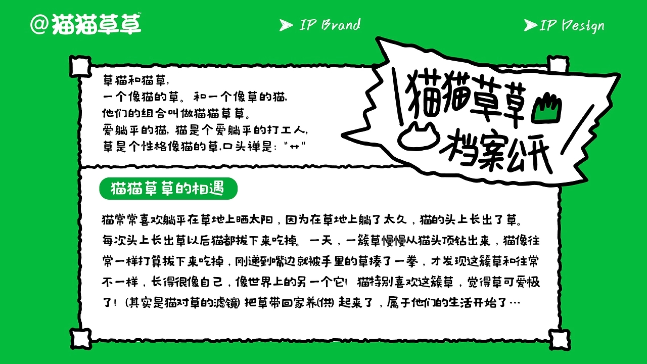 和“猫猫草草”一起，拥抱忙碌世界中最小单位的旷野-10.jpg