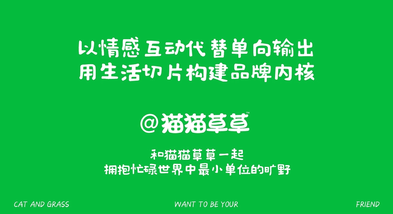 和“猫猫草草”一起，拥抱忙碌世界中最小单位的旷野-56.jpg