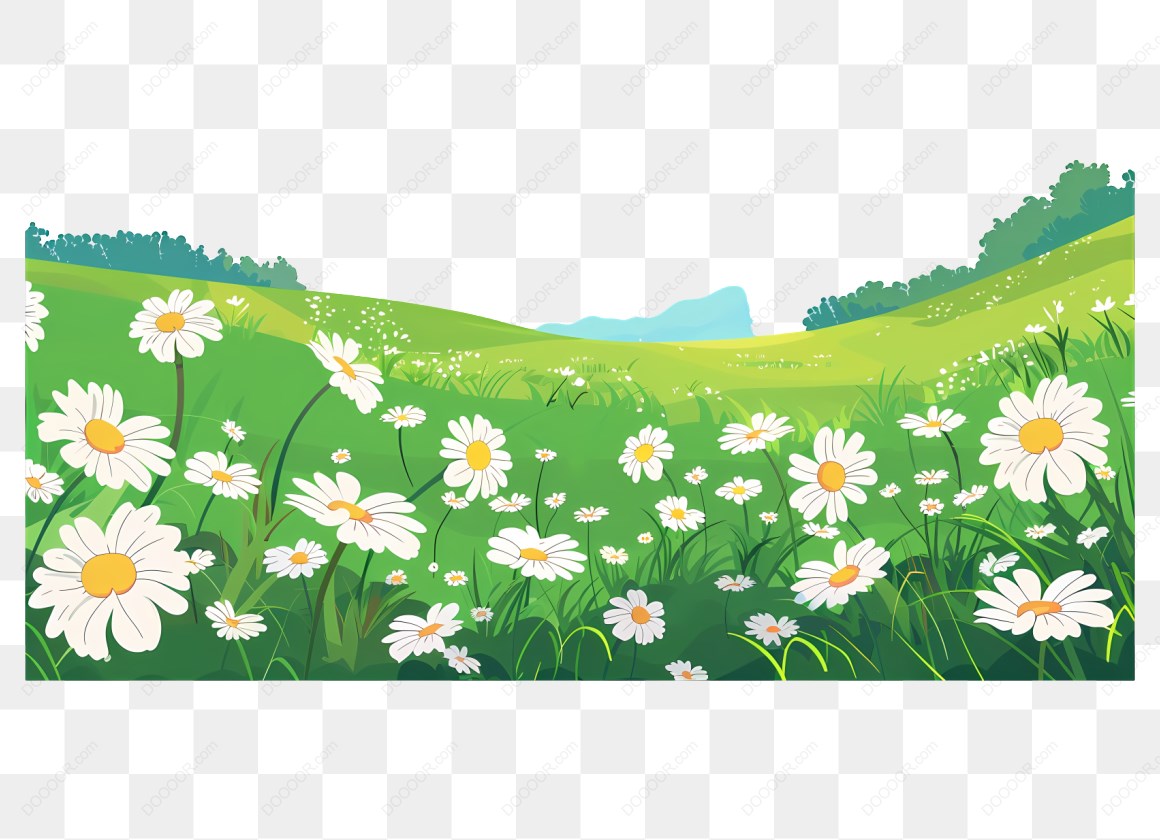 15800_绿色草地上的雏菊花.jpg