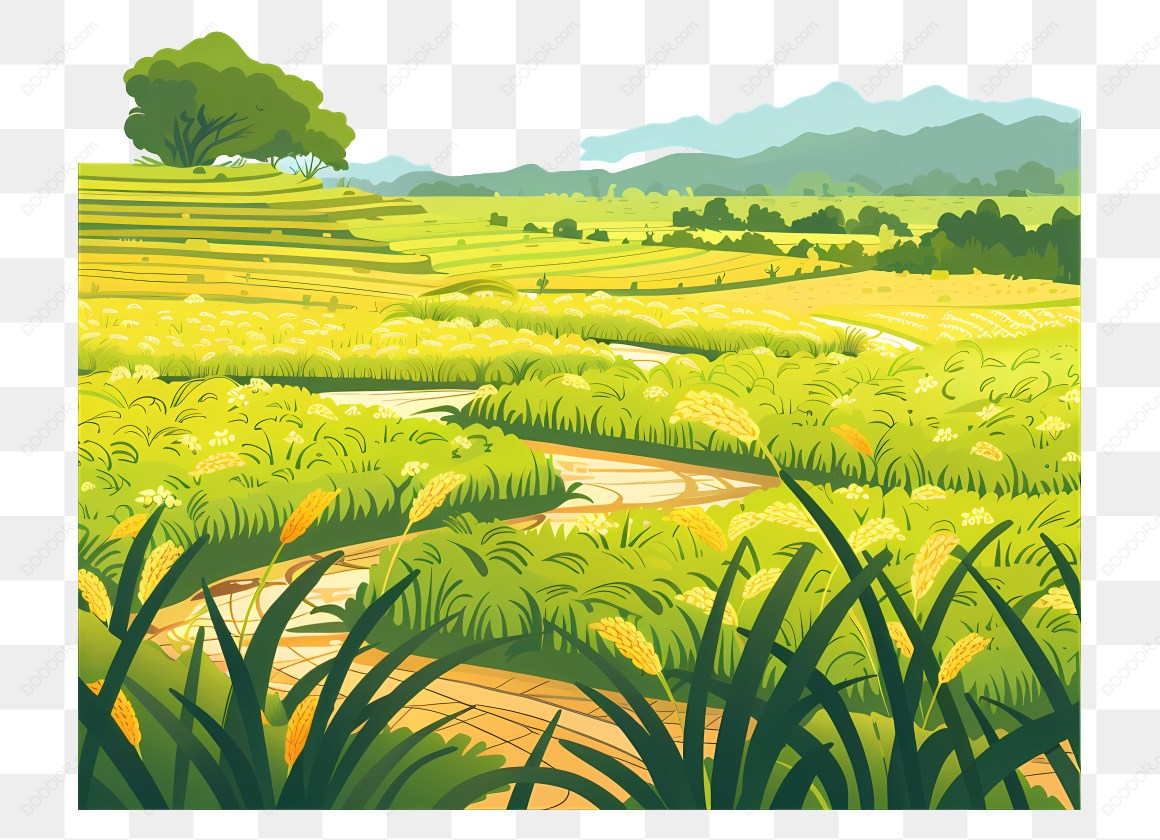 15834_稻田风景插画.jpg