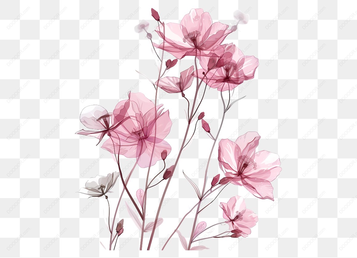 16554_粉色花卉插图.jpg