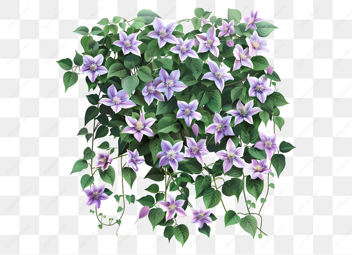 16573_紫色花朵与绿叶.jpg