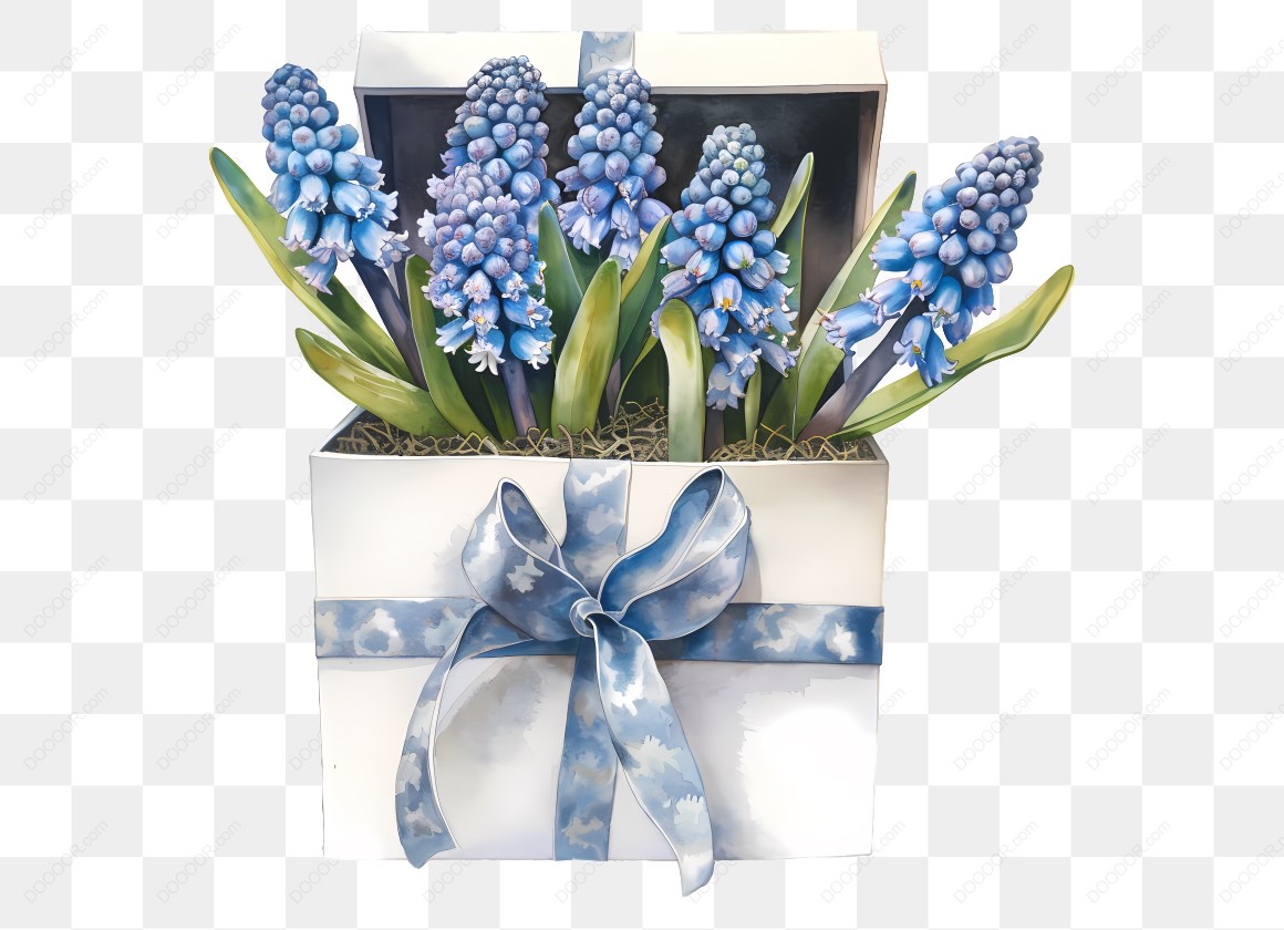 16577_礼盒中的蓝色花卉.jpg