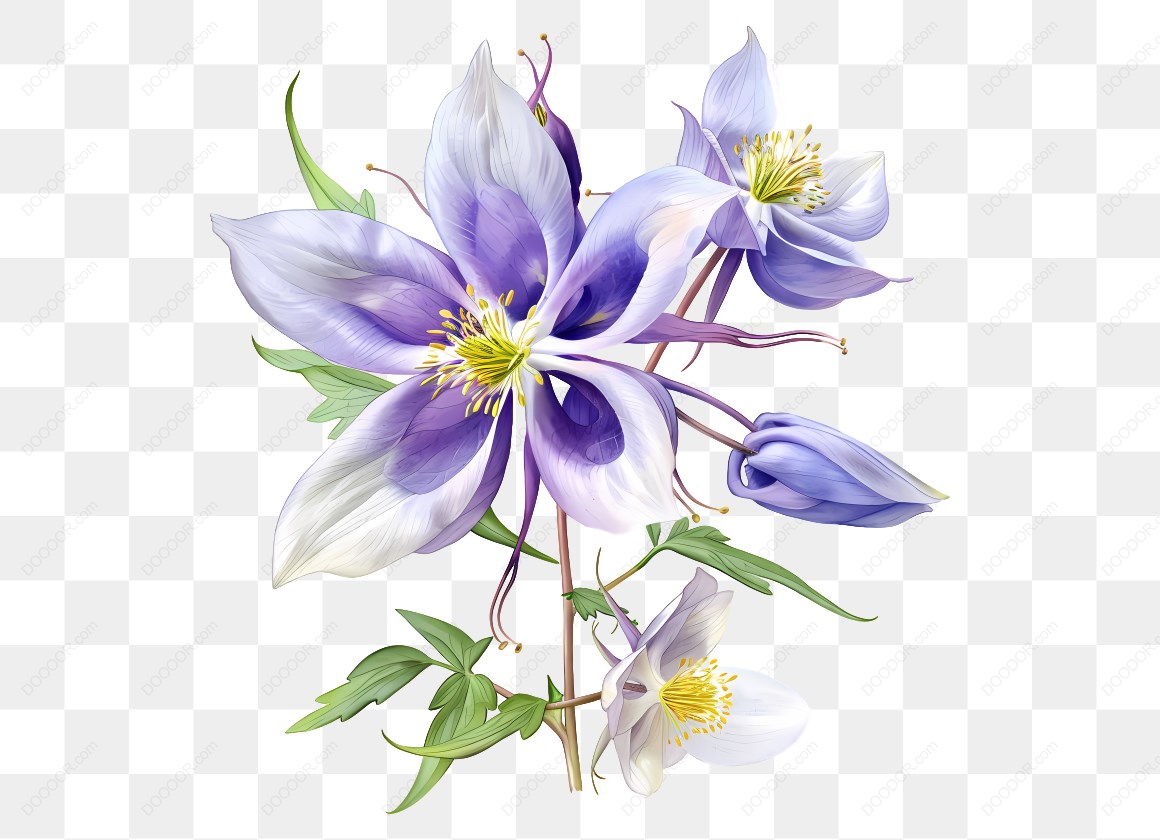 16594_紫色花朵插画.jpg