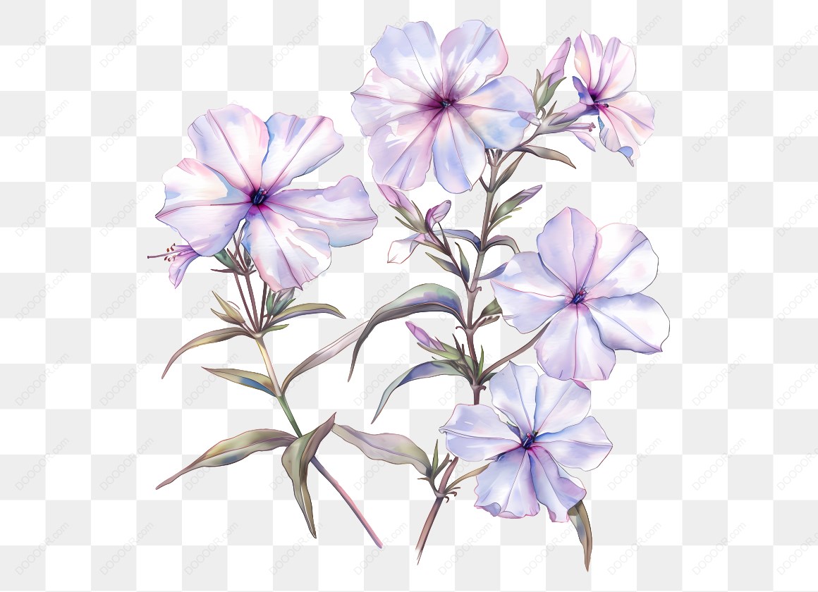 16597_淡紫色花卉插图.jpg