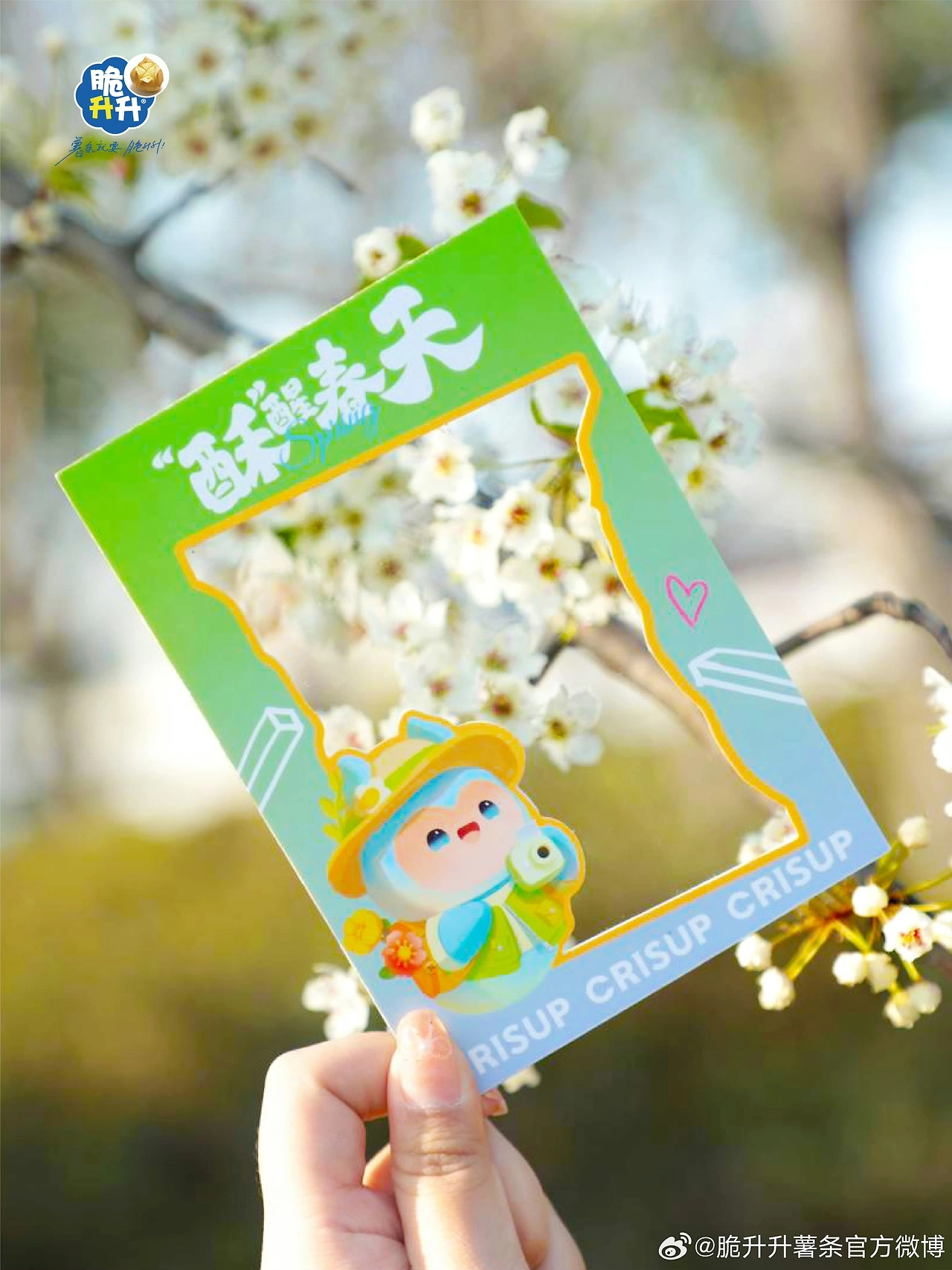 【脆升升】薯条品牌IP形象设计——子非乌鸦-22.jpg