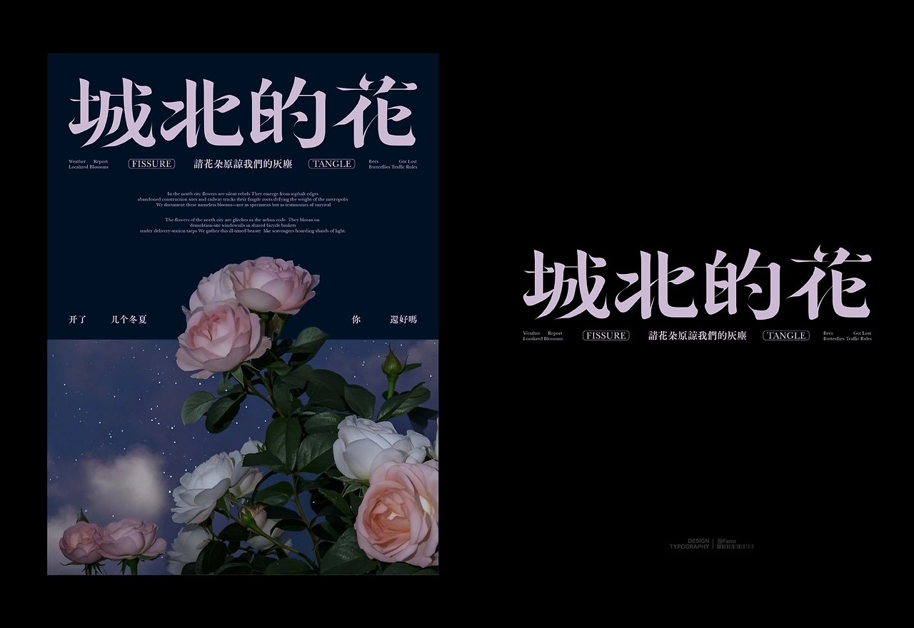 字体设计&amp;海报设计 TYPEFACE POSTER-08.jpg