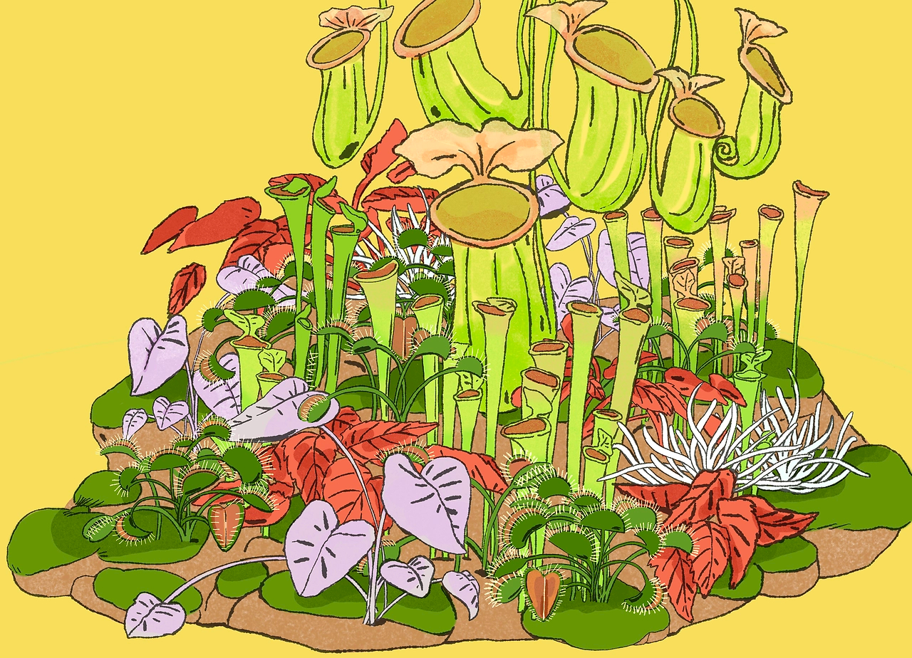 复古插画系列2025-10.jpg