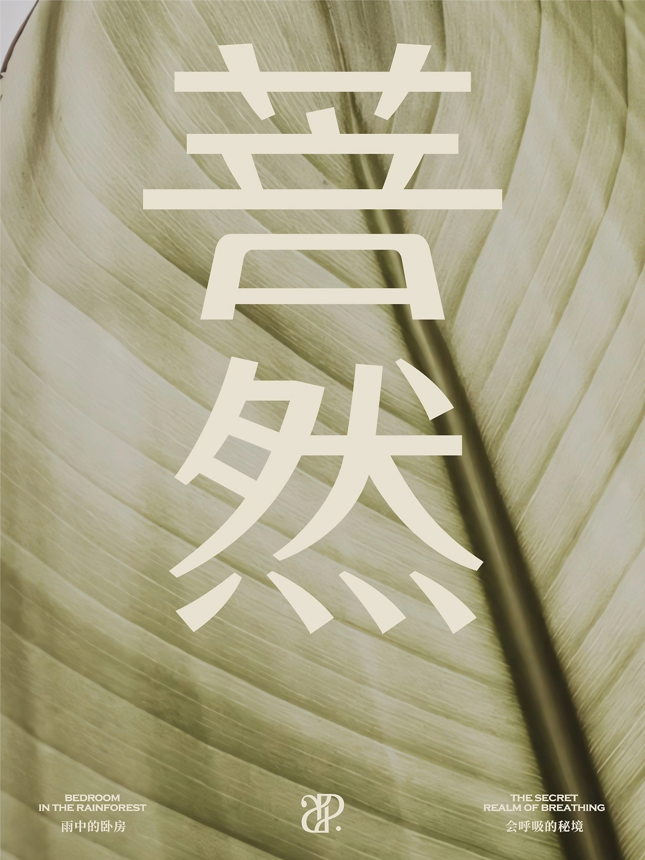 反光品牌  远方秘境里的家-02.jpg
