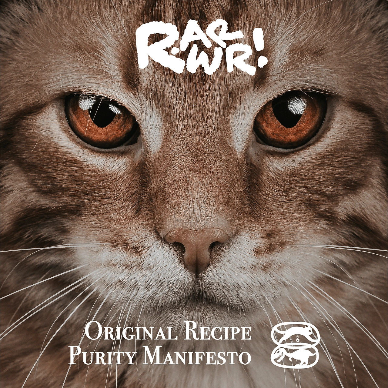 RAWRR!-11.jpg