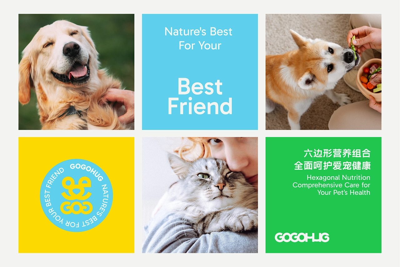 GOGOHUG宠物品牌全案设计-11.jpg