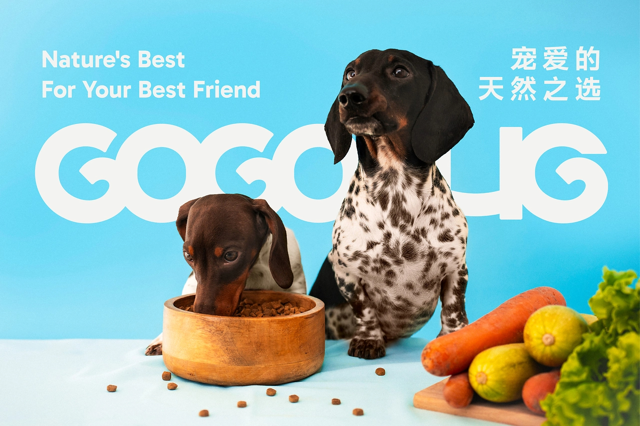 GOGOHUG宠物品牌全案设计-10.jpg