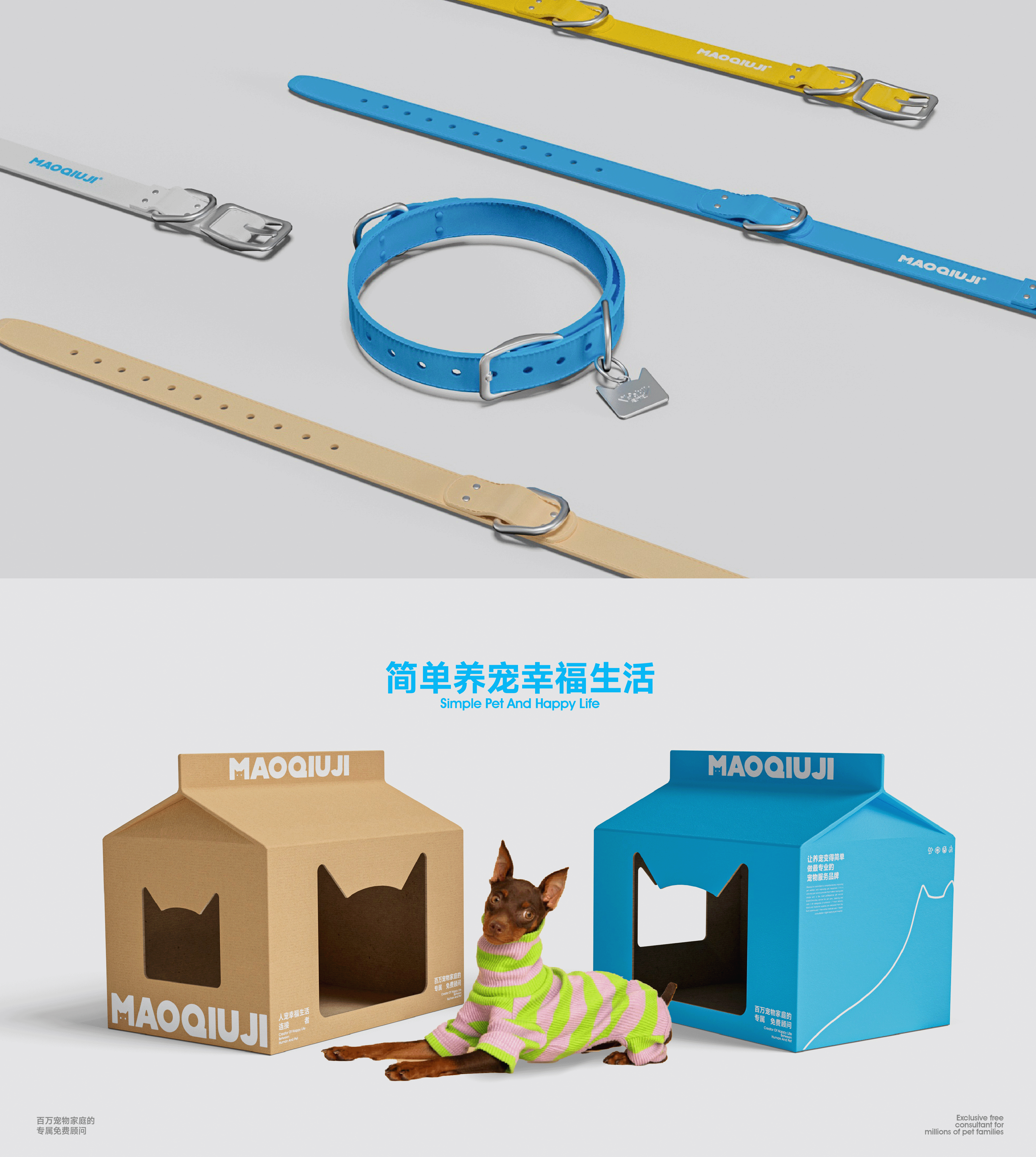 毛球记｜宠物品牌设计-15.gif