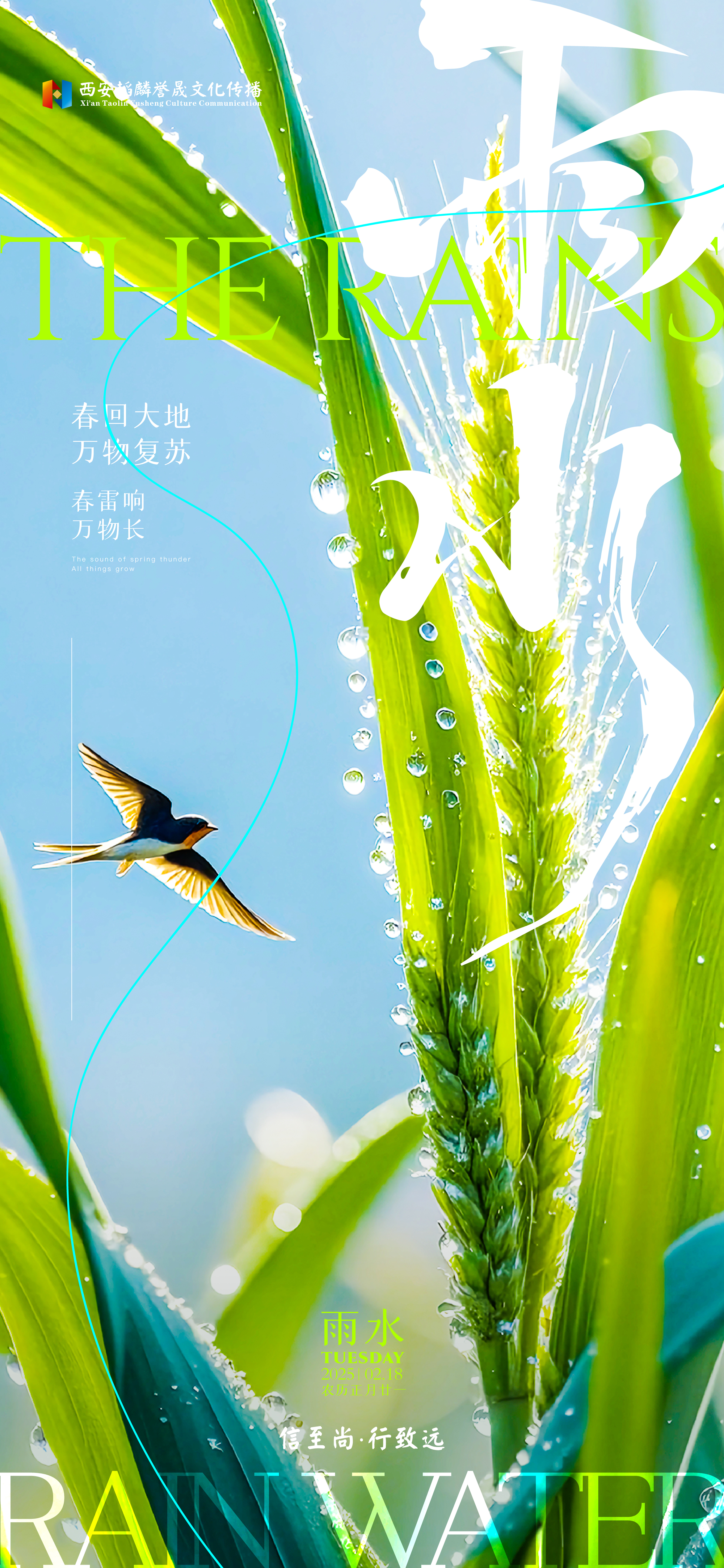 20250217 雨水单图-02.jpg