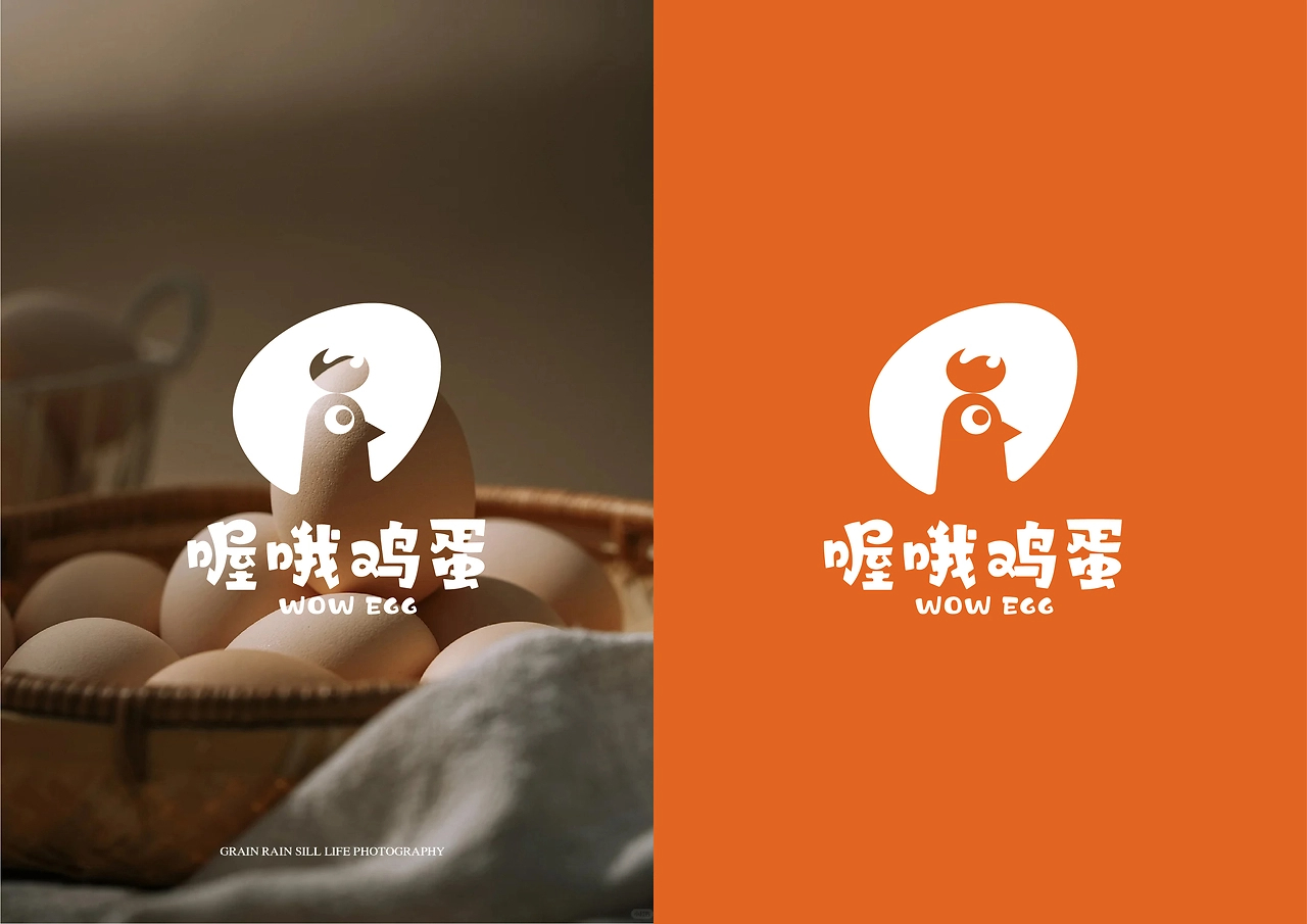 喔哦鸡蛋VI手册-05.jpg