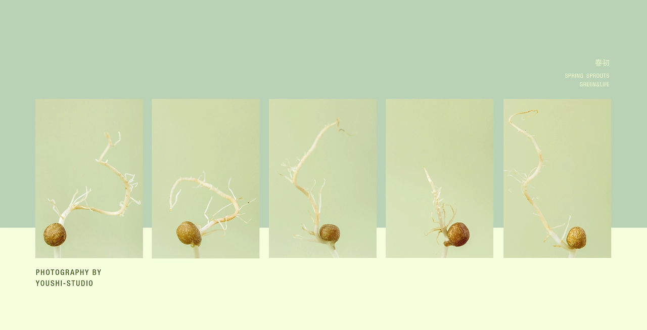有食×春芽-品牌包装设计及产品拍摄全案-31.jpg