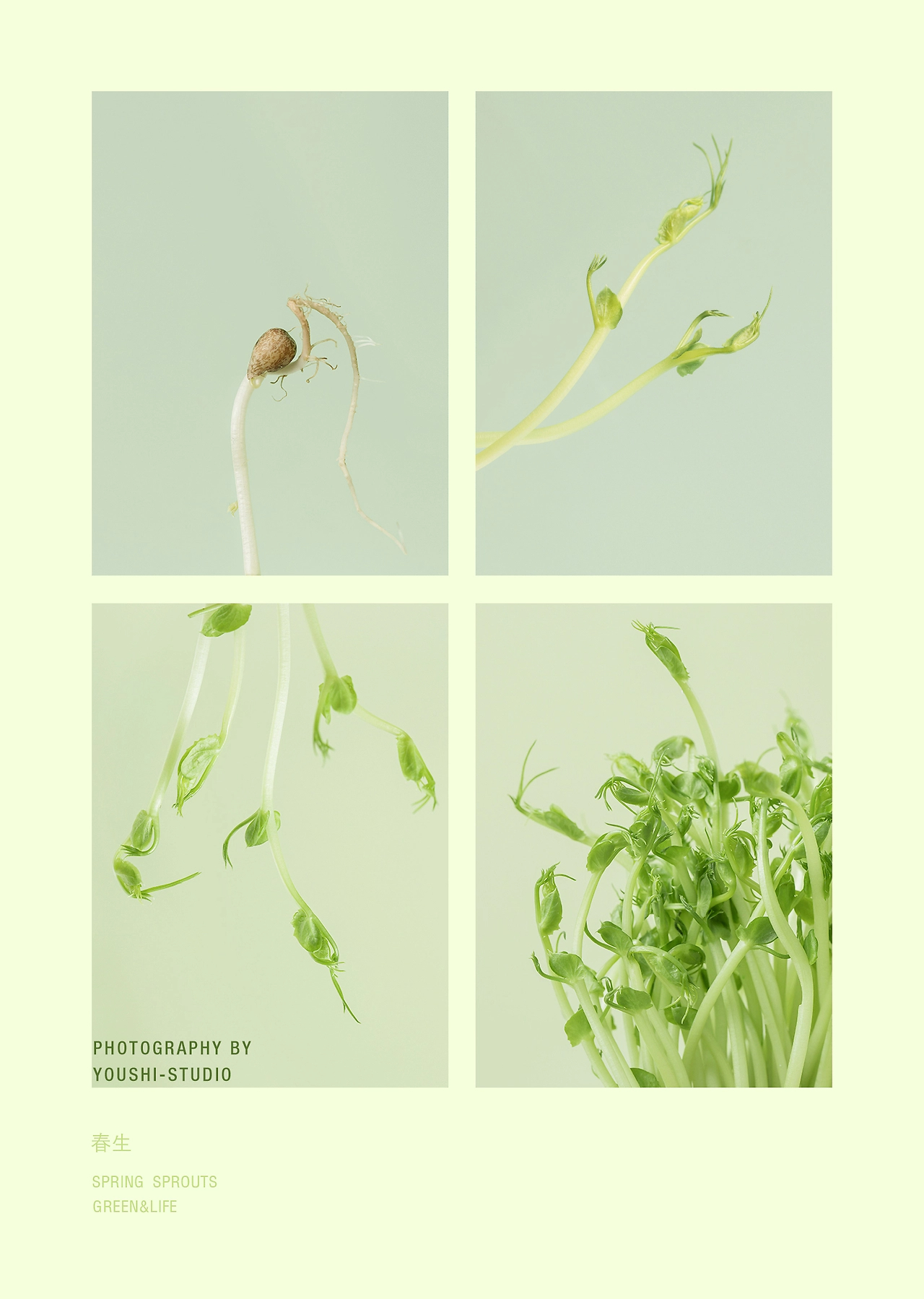 有食×春芽-品牌包装设计及产品拍摄全案-32.jpg