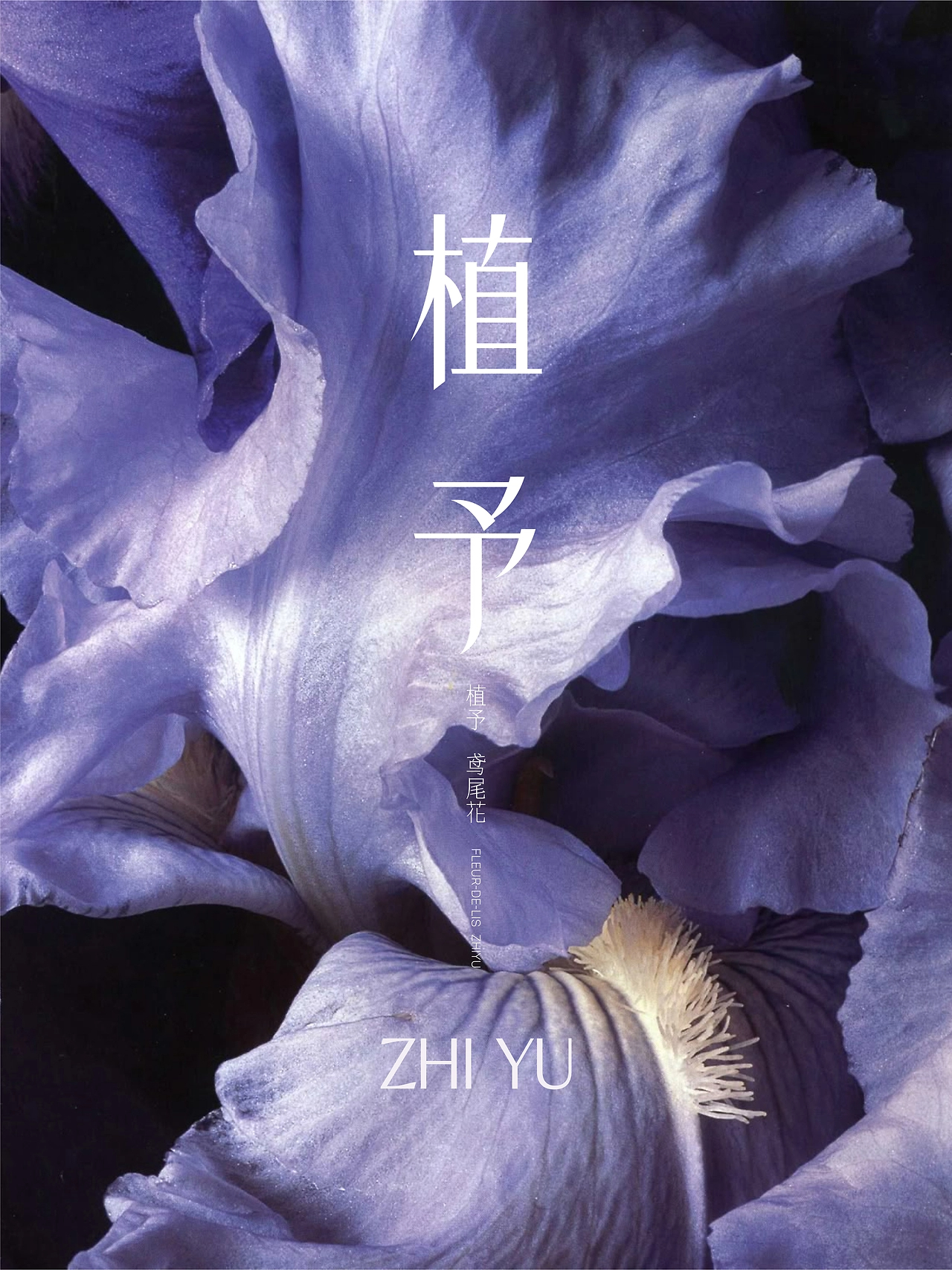 UP-植予品牌全案设计 护肤品包装设计 LOGO设计 VI设计-01.jpg