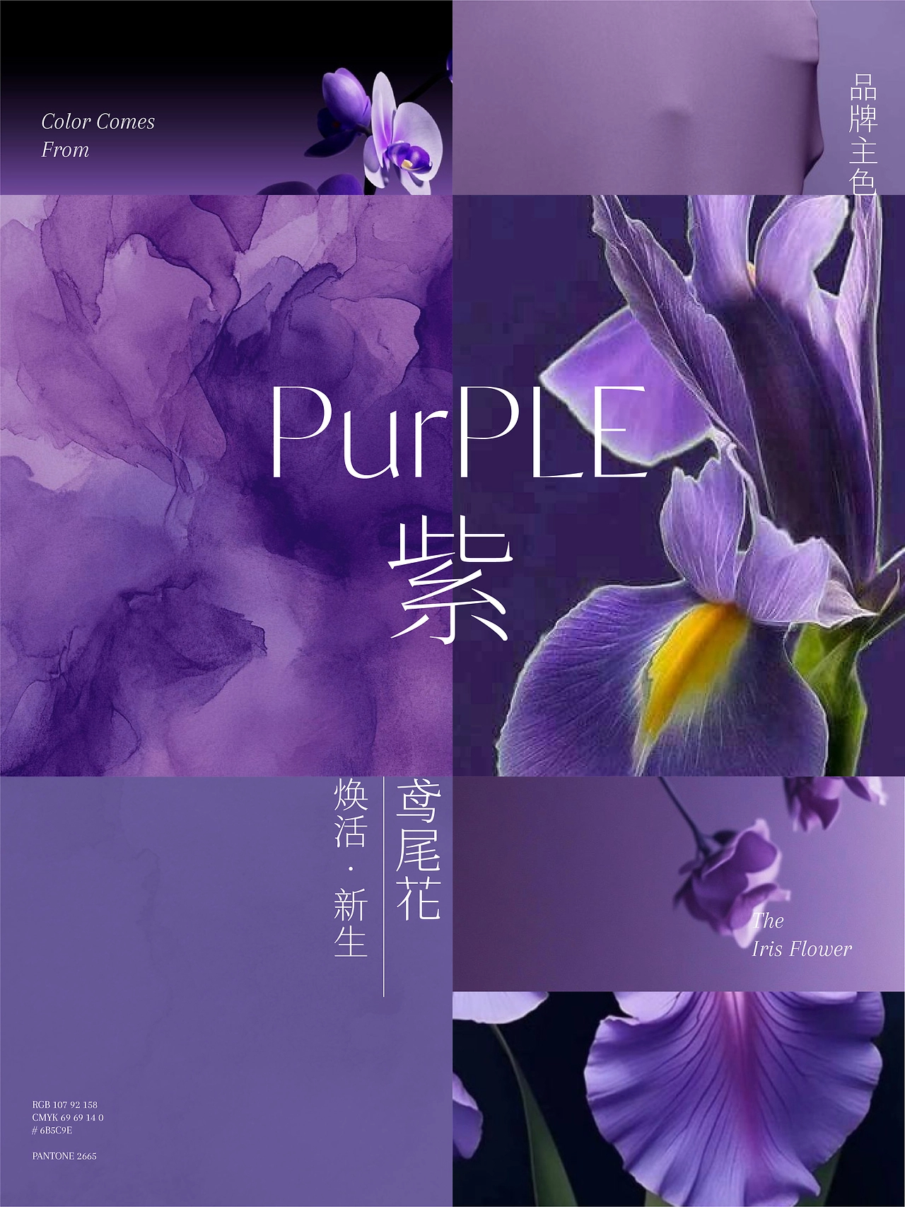 UP-植予品牌全案设计 护肤品包装设计 LOGO设计 VI设计-06.jpg