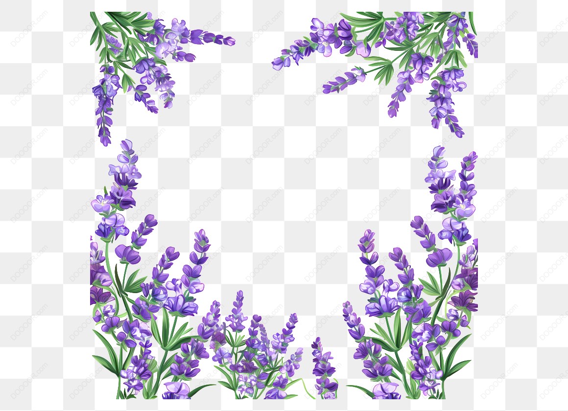 16927_紫色花朵边框装饰.jpg
