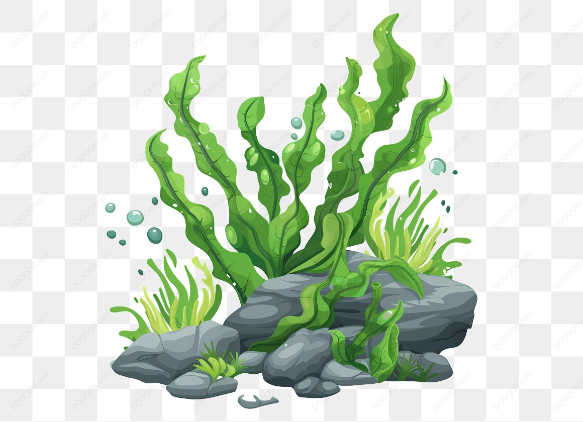 17099_水下海草植物群.jpg