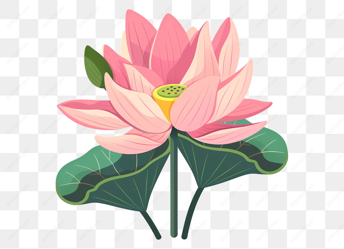 17241_粉色荷花与莲蓬.jpg