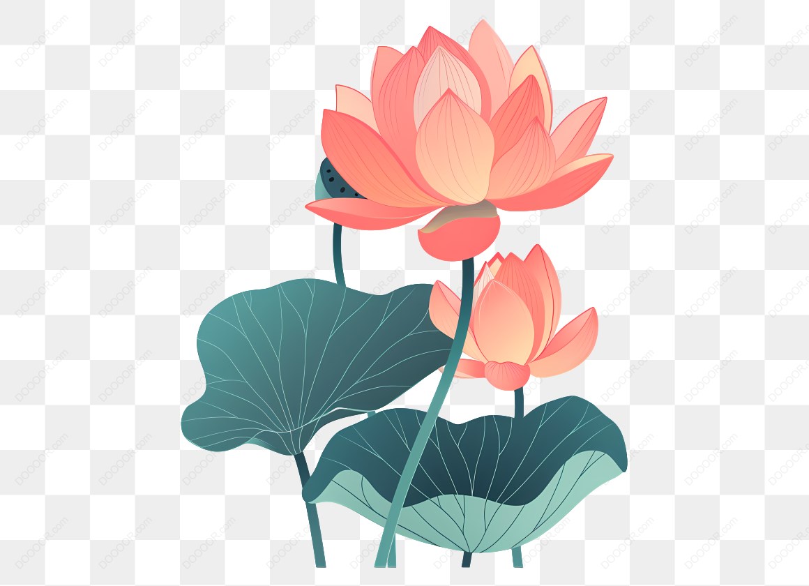 17244_粉色荷花与叶子.jpg