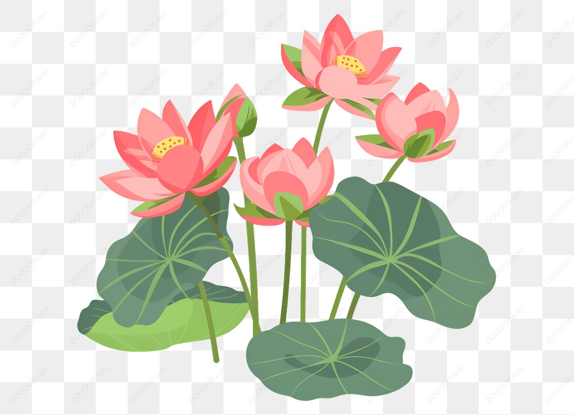 17245_粉色荷花与叶子-1.jpg
