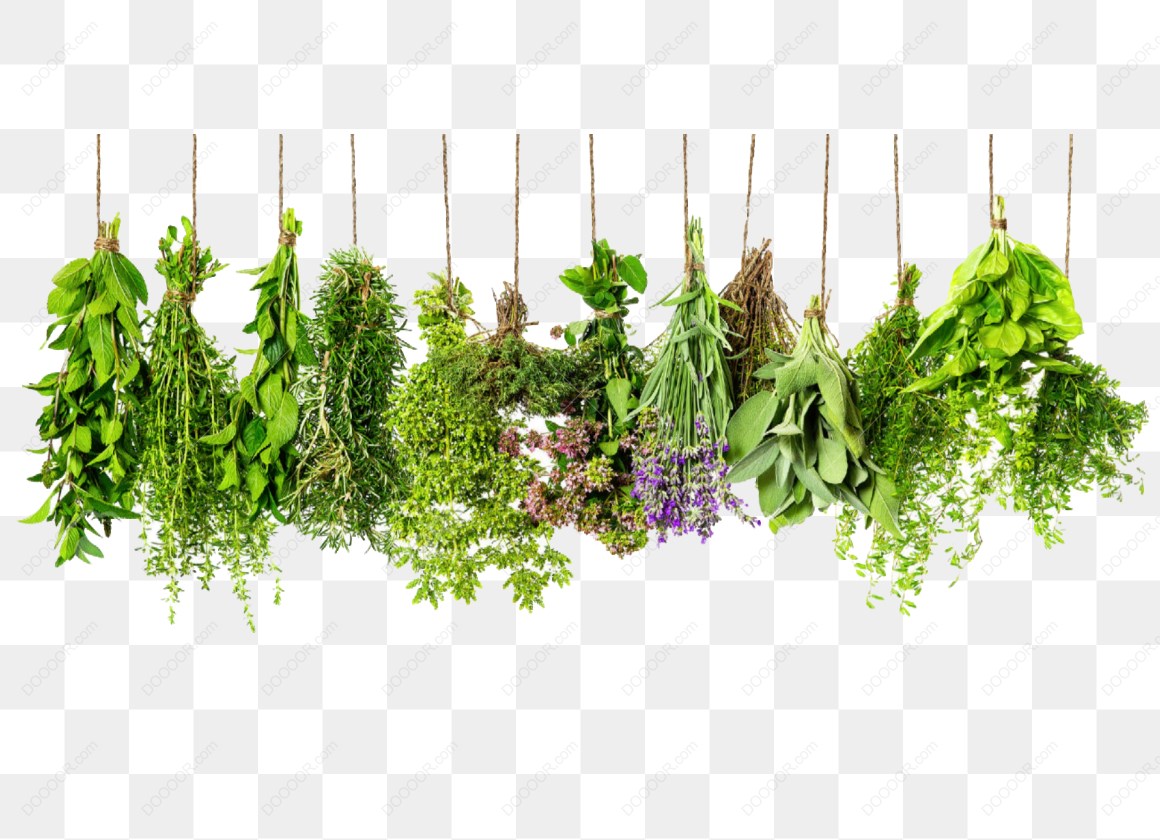17470_多种绿色蔬菜悬挂.jpg