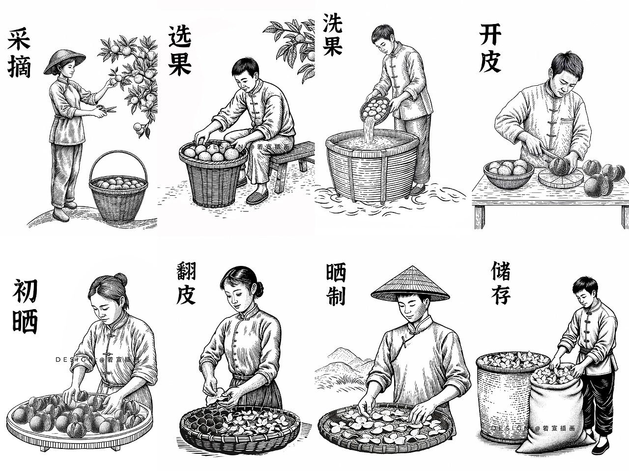 新会陈皮 制作流程 包装设计 版画-01.jpg