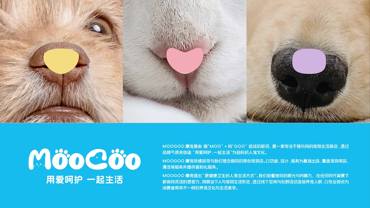 摩宠moogoo，一家宠物店的品牌设计-03.jpg