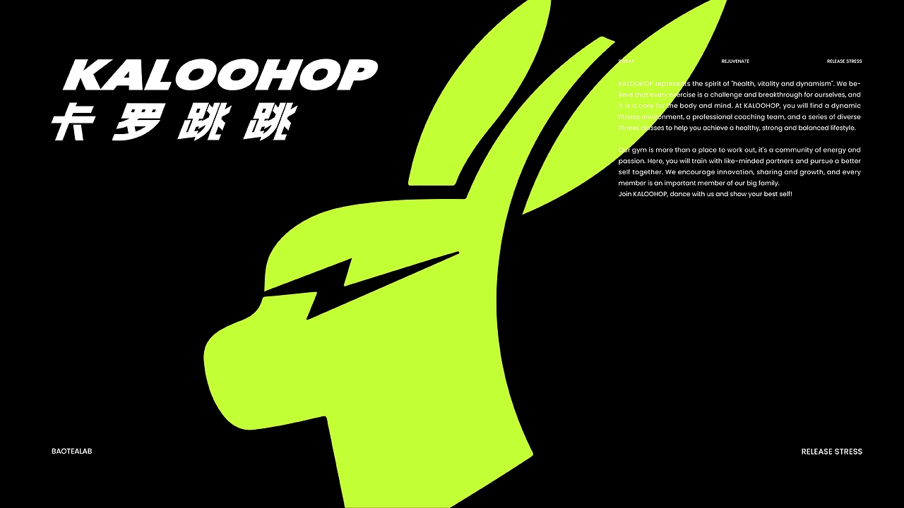 卡罗跳跳 KALOOHOP健身品牌设计-18.jpg