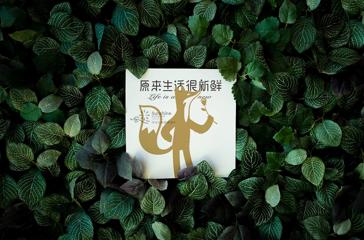 品牌全案设计 LOGO VI vi设计 西餐品牌设计 包装设计-56.jpg