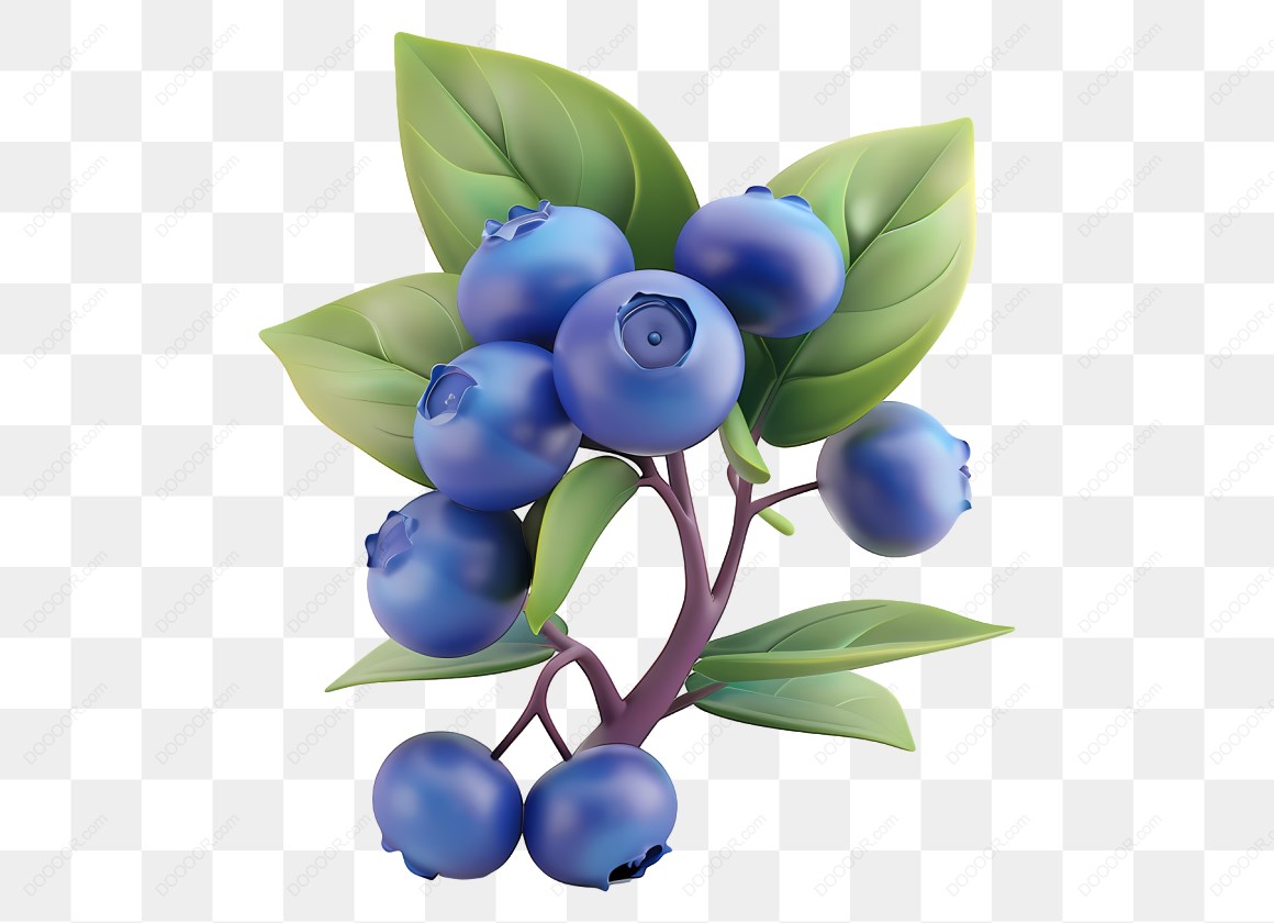 18094_蓝色浆果和叶子.jpg