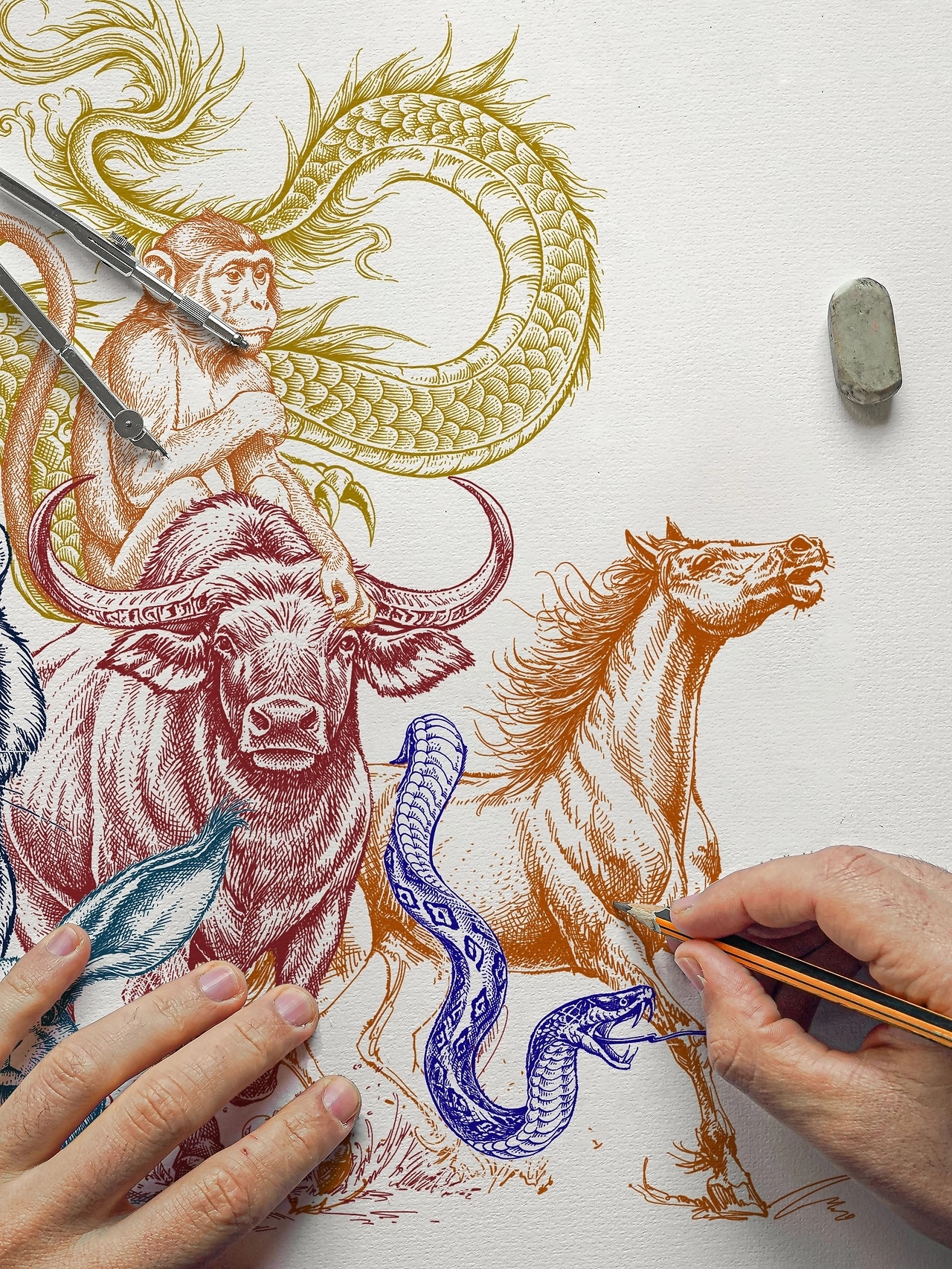 十二生肖手绘插画[9P]-广州-一叶插画(5).jpg