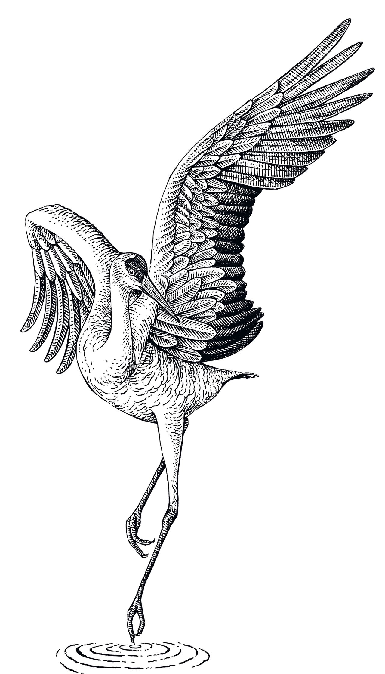 版画风插画[35P]-广州-一叶插画(3).jpg