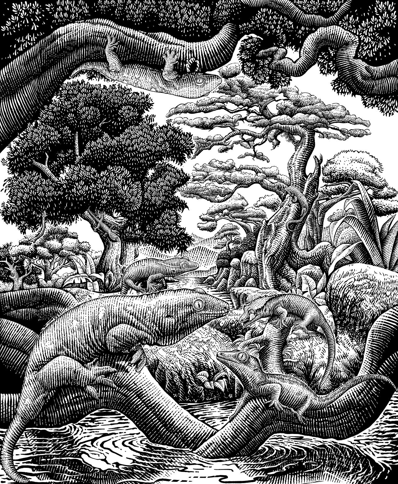 版画风插画[35P]-广州-一叶插画(13).jpg