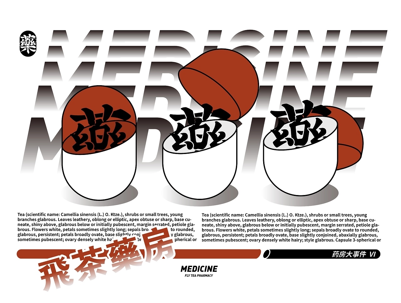 飞茶药房品牌视觉[13P]-北京-跳雪设计Jumpsnow  (1).jpg