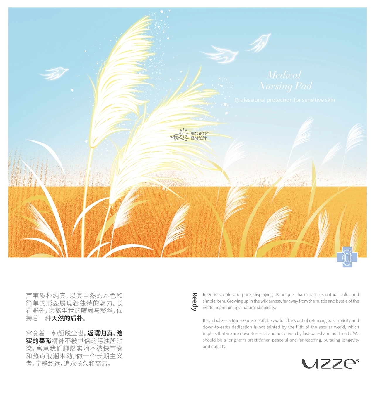 卫生巾包装 [50P] 重庆-郑昌洪品牌vi包装 (15).jpg
