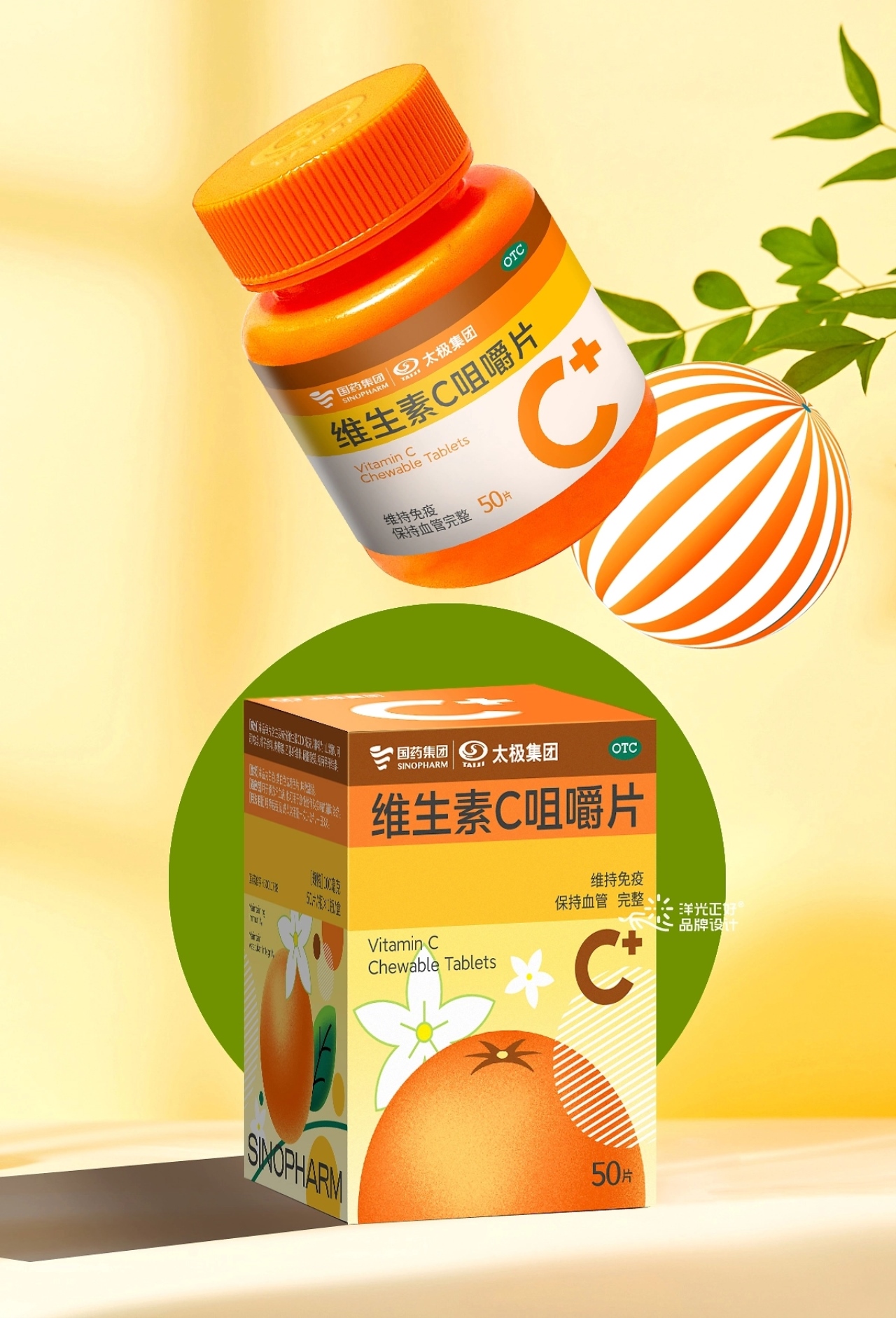 医药包装 保健品包装 vi [32P] 重庆-郑昌洪品牌vi包装 (22).jpg